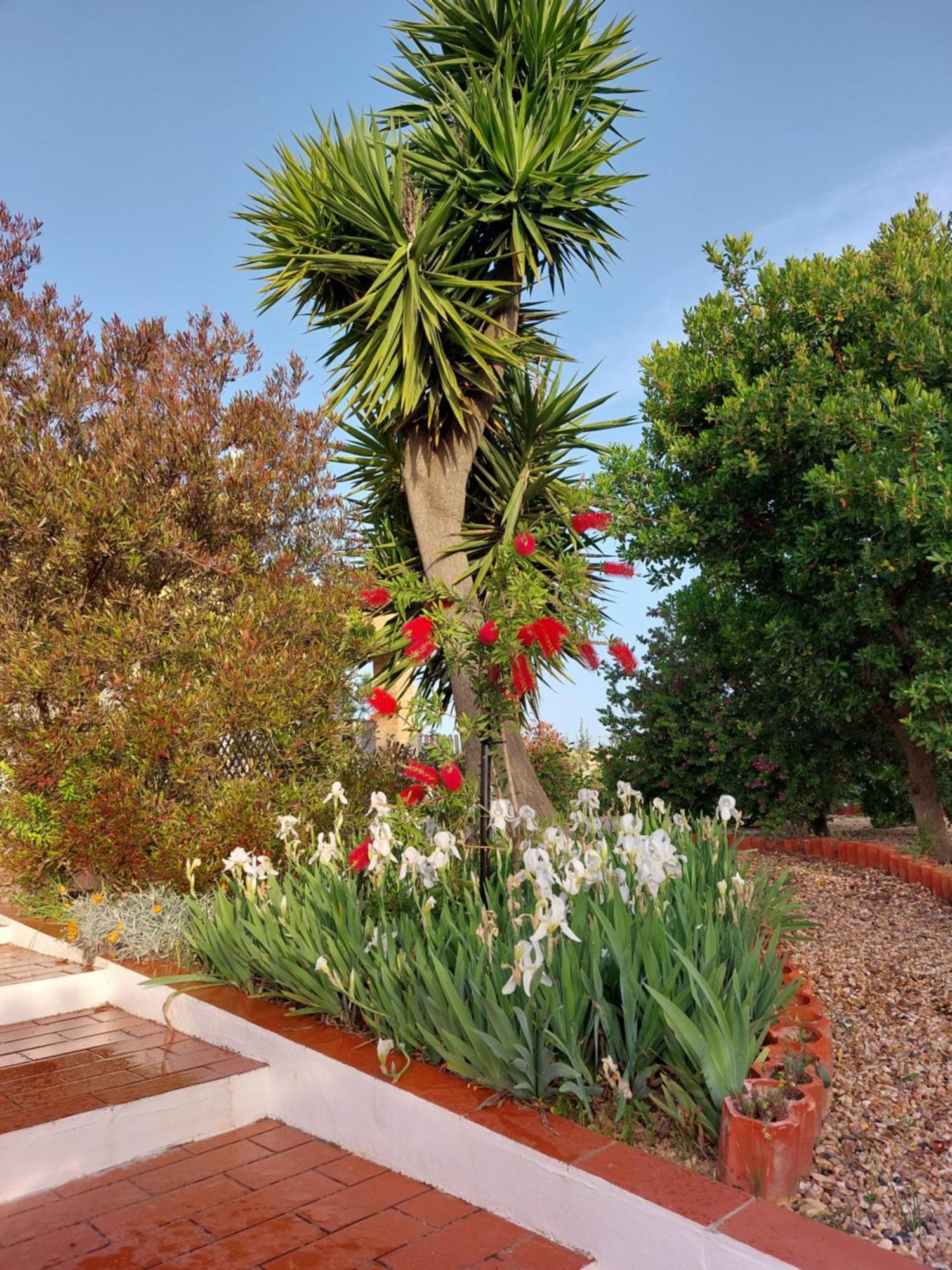 Tavira Vacations Apartments מראה חיצוני תמונה